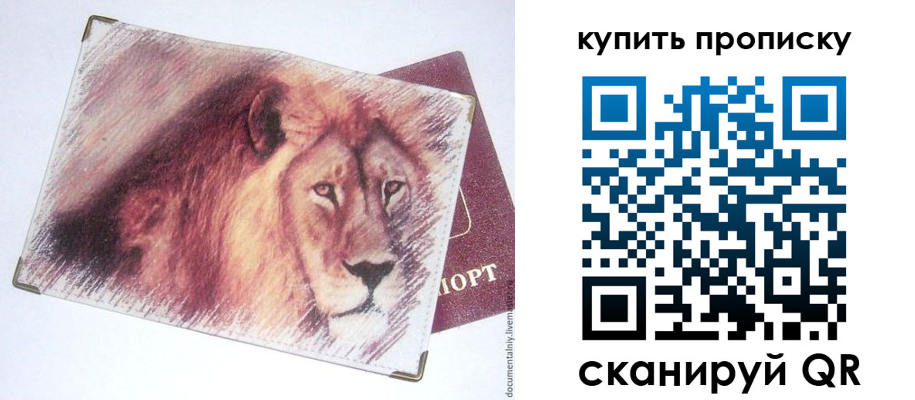 прописка паспорт в Почепе